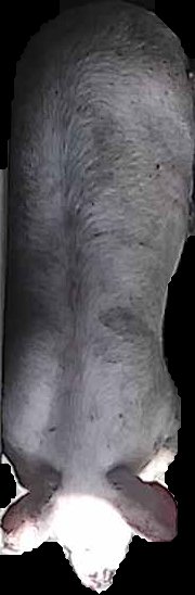 Crop