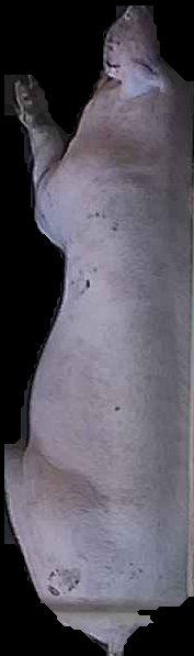 Crop