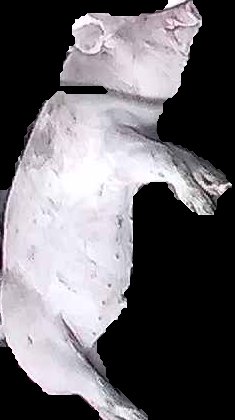 Crop
