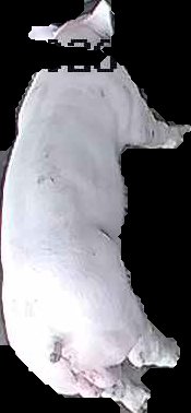Crop