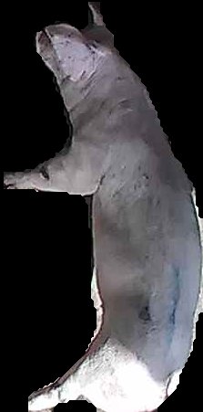 Crop