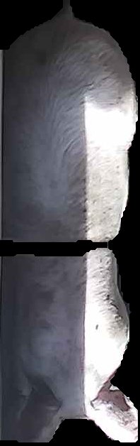 Crop