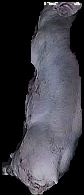 Crop