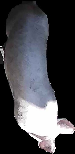 Crop