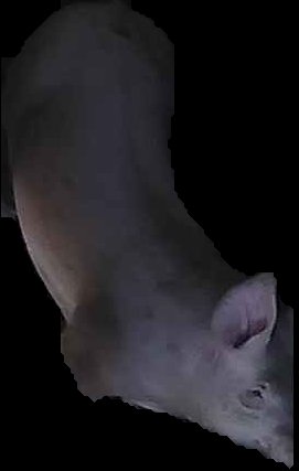 Crop