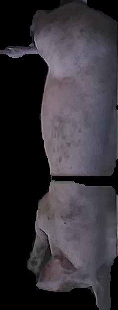 Crop