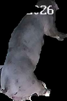 Crop