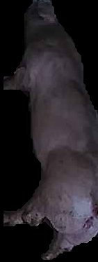Crop