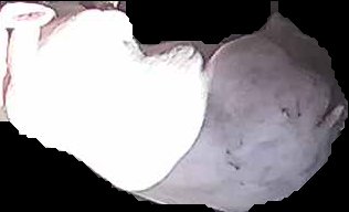 Crop