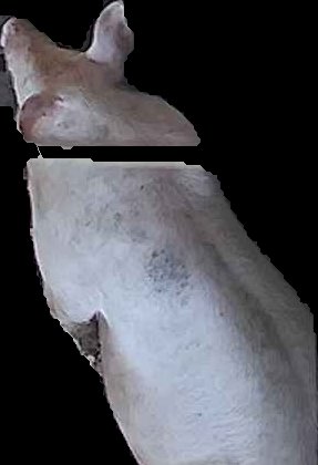 Crop