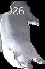 Crop