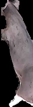 Crop