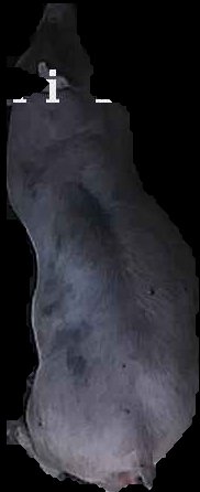 Crop