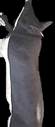 Crop