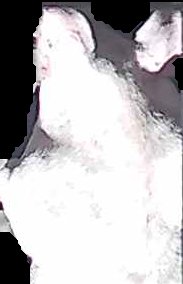 Crop