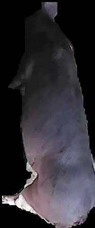 Crop