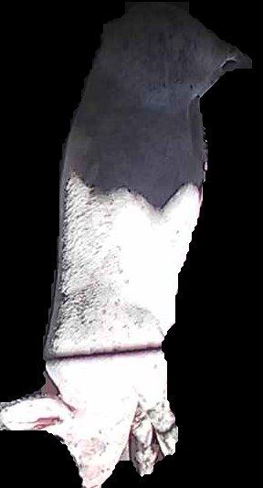 Crop
