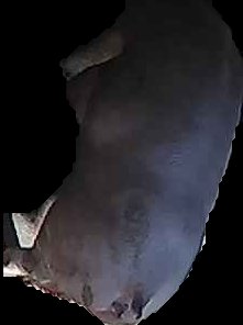 Crop
