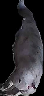 Crop