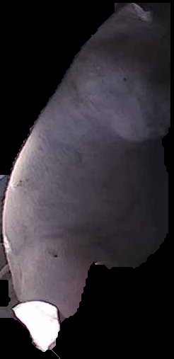 Crop
