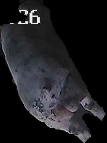 Crop