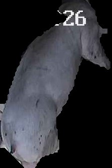 Crop