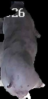 Crop