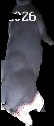 Crop