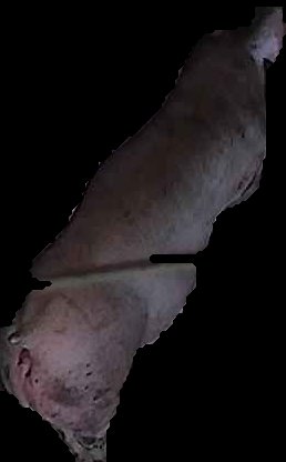 Crop