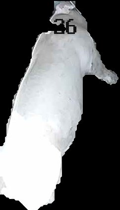 Crop