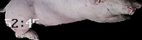 Crop