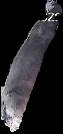 Crop