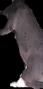 Crop