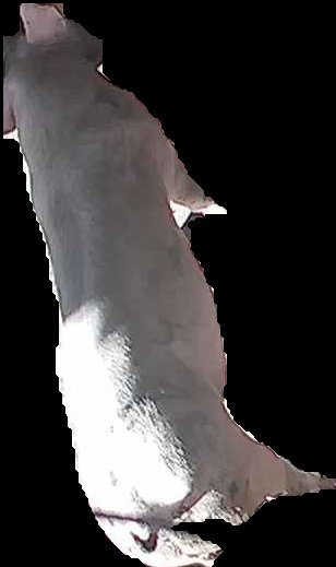 Crop