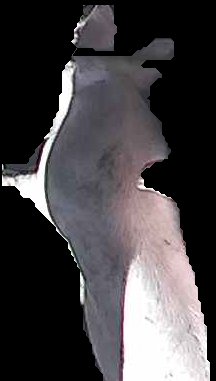 Crop