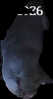 Crop