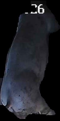 Crop