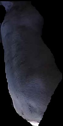 Crop