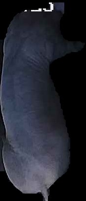 Crop