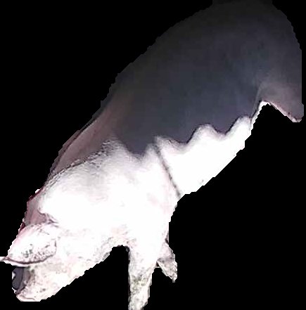 Crop