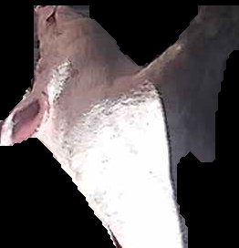 Crop