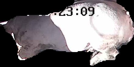 Crop