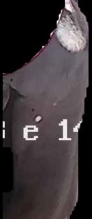 Crop