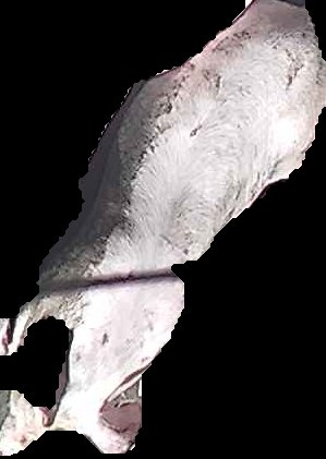Crop