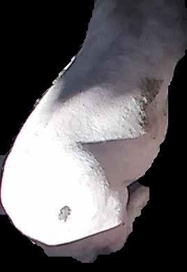 Crop