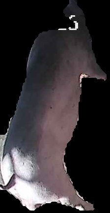 Crop