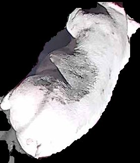 Crop
