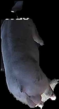 Crop