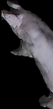 Crop