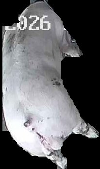 Crop